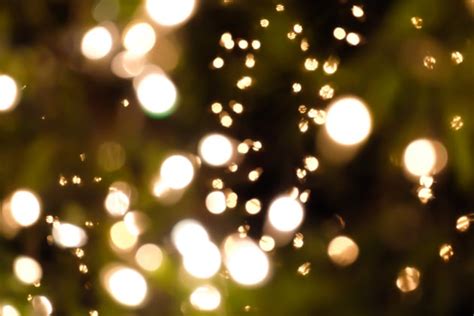 Galeri foto film bokeh effect full video bokeh download mp4 2023 terbaru domain .or.id diskon dan wifi jammer sinyal 115 cara komentar organik nyanyi di di halaman favorit