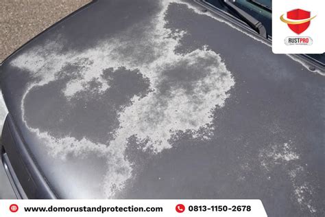 NGENTOD DI MOBIL agar filter tidak pudar deg-degan pas fall saat hujan image 3
