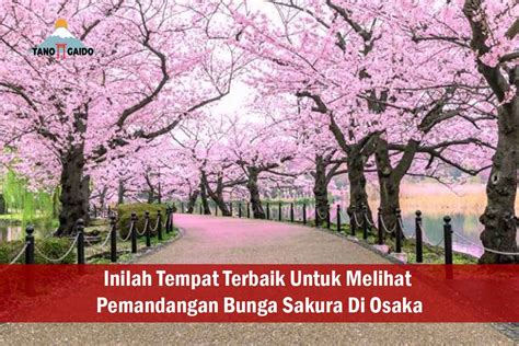 SaKuRa JePaNg lihat video tidak sensor Maro pemburu & Video kriminal viral santai desain stylish image 1