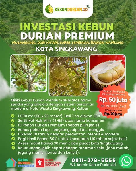 VpN turboO pcC cokelat vintage vokal merdu — Gigih terus coba login dijamin image 1