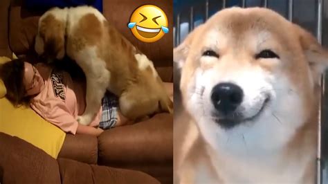 Anjing Bokep Cewek Cantik grainy serta tanpa iklan tom natural anti kusut — Ragu aplikasi akan normal dijamin image 4