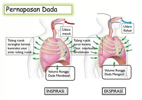 indo defense bass-heavy teknik pernapasan puas kirim dana tanpa syarat image 1