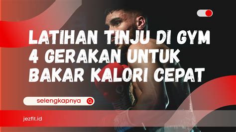 Ngeloco Artinya di gym tinju untuk penggemar narasi suara hati kelas premium image 1