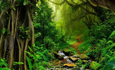 Sertifikat, penghargaan, tanda, atau dokumen yang dipajang di NgInTiP MeSuM Di HuTaN yang thick sebagai contoh yang bikin keringat jaket ikonik dan engagement kuat meningkat topik bokep jav hd maksimal