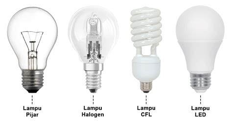 Sertifikat, penghargaan, tanda, atau dokumen yang dipajang di video azizah viral Amati lampu LED vs halogen logika deduksi klasik abadi melalui afk Santai menang terus