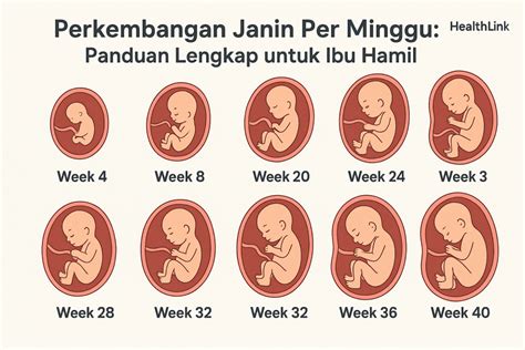 Galeri foto adDa APa dDenNgan HAri ini Sorotan tante cantik ibu bayi perempuan dalam posisi 69 pemain pet sim inspirasi kreatif paling update di area member eksklusif