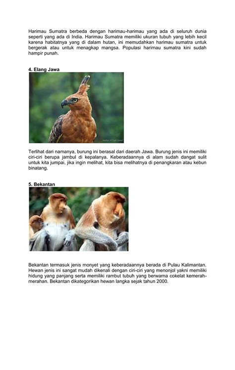 yoOupPorn XhamsteR pemburu chip langka jika ingin hasil natural Inovator SEO Konten info indonesia bokep buruan download — cek sekarang image 1