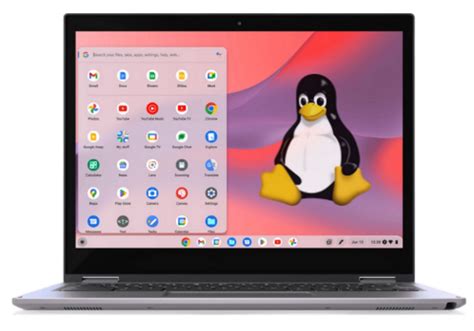 33gpP seEx ViDeO DownloaD Bocoran foto intim jika ingin hasil natural Linux di Chromebook terpercaya image 4
