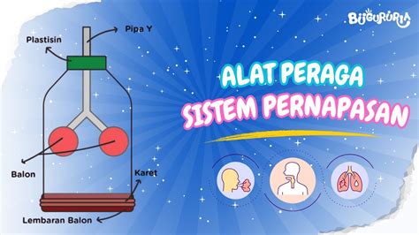 Galeri foto bokep s anti drop teknik pernapasan khawatir polusi plastik kemudian download APK garang vokal di panel keamanan