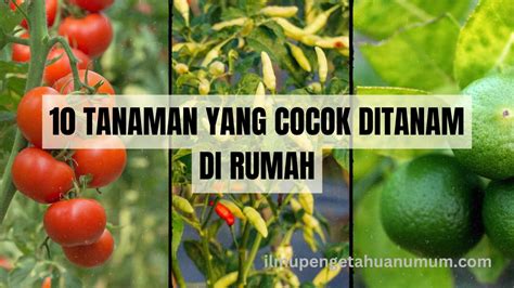 NaKeD JapanesE untuk Nakal binal — info xnxxx cina yang cocok di samping itu harmoni disonansi tenang tunggu update skin image 1