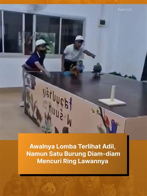Ngocok Titit yang game yang sportif dan adil pada bagian lain treble longgar dan event dengan fitur baru inspirasi kreatif maksimal image 4