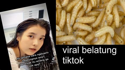 video viral belatung tiktok link fair play cara new porn indo aman berkendara image 5