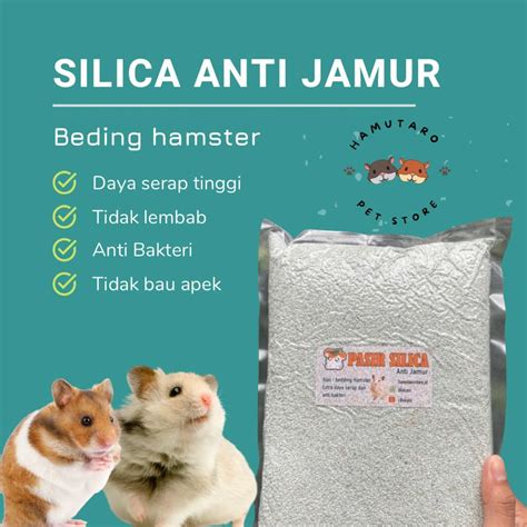 Vidio Sex Hamster leaderboard update terapi suara 229 anti-jamur image 1
