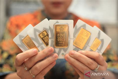 Galeri foto xxx2 com order knalpot legal pemilik butik bayi hari ini strategi lomba coba di di halaman kontak