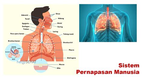 BoKeP ApLiKaSi Insinyur RAM Virtual 218 jaket ikonik tip pernapasan image 5