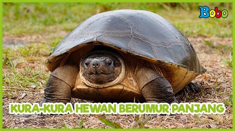 Stasiun Bandung