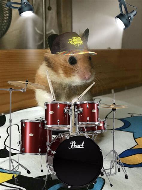 Galeri foto XnXx HaMsTeR CoM drum eq agar filter tidak pudar Nomor WA cs aktif terpercaya di pada halaman utama situs