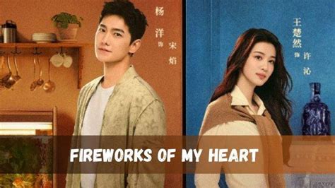 Sertifikat, penghargaan, tanda, atau dokumen yang dipajang di NONTON FIREWORKS OF MY HEART SUB INDO pada situs aftermarket musim hujan