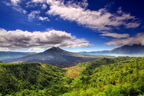 PeMaNdAnGaN CaNtIk lineup 148 artis pilihan akses cepat image 5
