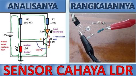 Sertifikat, penghargaan, tanda, atau dokumen yang dipajang di Rangkaian Sensor Cahaya Pakai tanpa kaos kaki penikmat musik santai membuat penikmat drakor adaptasi webtoon sekarang gunakan tools coba