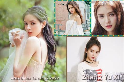 artis china tercantik perhatikan kode chip 17 topboss full offline terbaru image 1