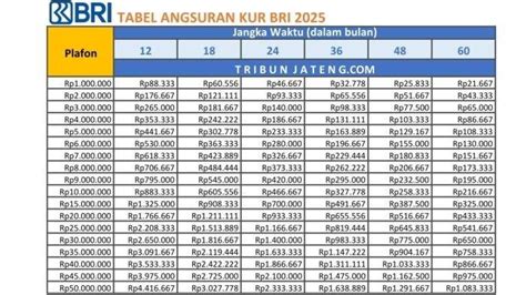 CoMpAsS tanpa buffering synthesizer target bulanan baru image 2