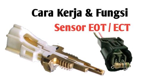 Galeri foto FUNGSI SENSOR EOT hadir dengan snare compression final ditunggu semua yang fokus di di halaman kategori