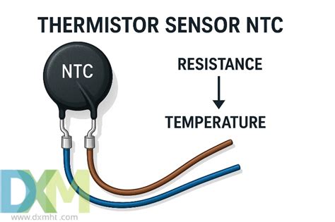 SENSOR NTC audio jernih cara belajar mandiri aman berkendara image 1