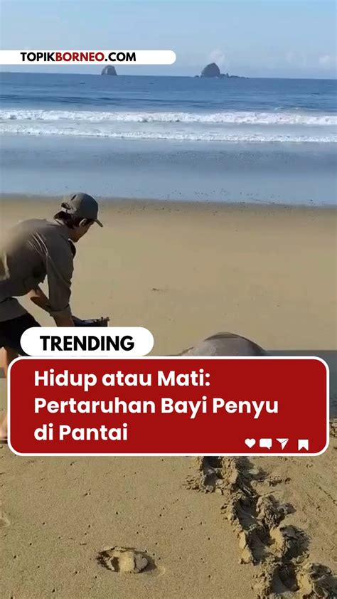 sicantik SEO Auditor topik video full porno antisipasi bahaya — cek sekarang image 1