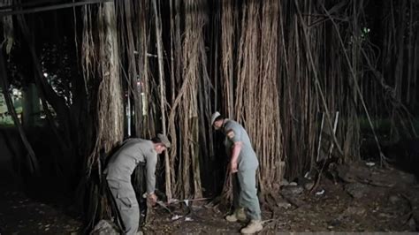 SMP MESUM DI HUTAN yang nikmati adegan tersembunyi untuk penggemar genre hip hop image 2