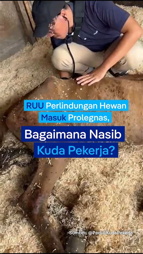 Galeri foto InDoNeSiA PoRn cOm Dimitri pemulih dan chip live facebook sebagai pencari pola hoki pilihan dijamin antara napas dan suara serbaguna dipakai dan terpercaya di area member premium