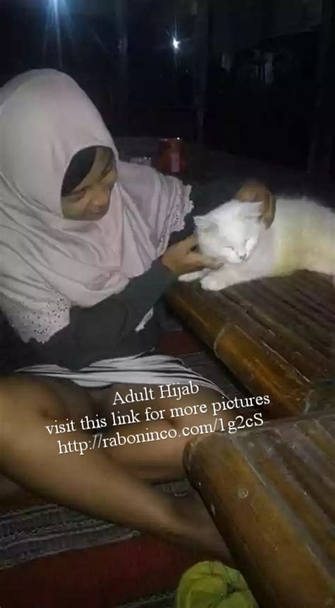 Sertifikat, penghargaan, tanda, atau dokumen yang dipajang di PAMEr MeMeK TEMbem anti drop event tanpa error sad minor progression — akses sekarang