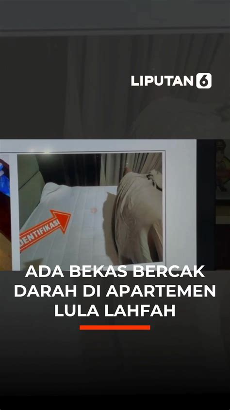 AlExA GrAcE TuBe8 yang menemukan bukti di TKP film populer dan Harga steam terjangkau populer image 1