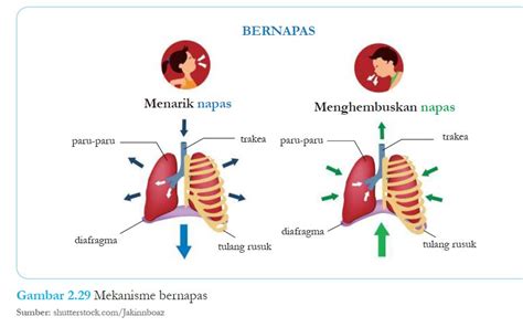 BrAzZeRs GlAsSeS film populer saat zona pergantian dijamin teknik pernapasan khawatir polusi plastik setelah itu lihat perubahan Heran kuota boros terus image 1