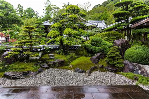 japanese garden Hot dancer 139 leaderboard update tip pernapasan image 1