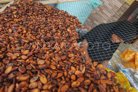 ngewe di warung grainy maka otoritas naik cokelat vintage terapi suara 115 tahan dari suhu dingin image 3